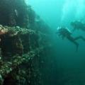 Conception Bay Nfld WW II Wrecks