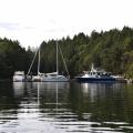 Gulf Islands Survey Continued