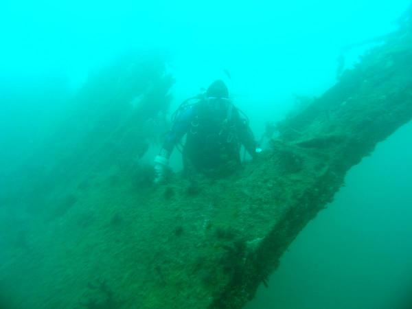MV Queen Dive