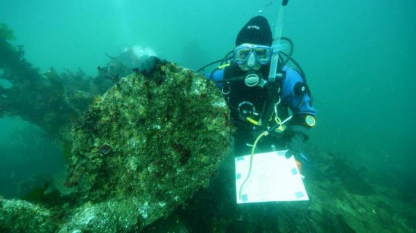 MV Queen - Bob Simpson by Propeller