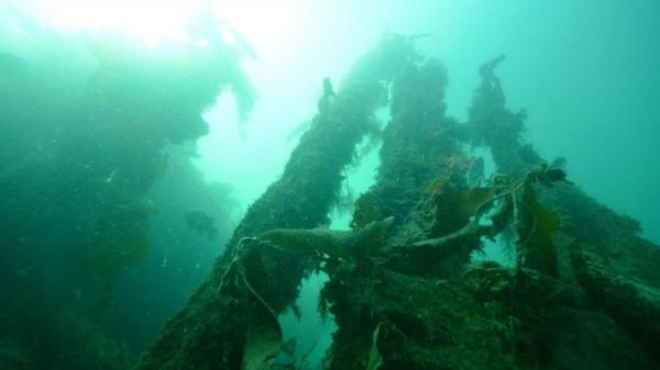 MV Queen - shot of wreck from below