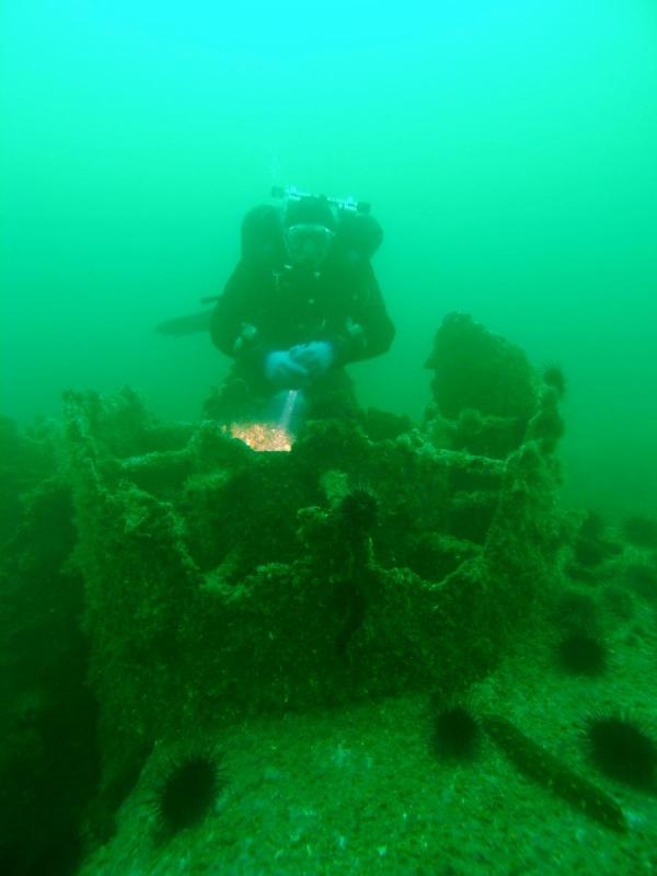 Del Norte and Chehalis