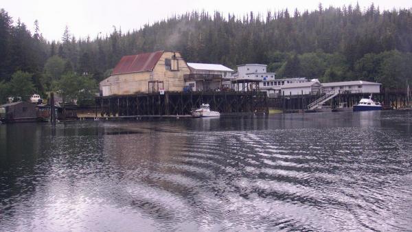 Quatsino Expedition - Winter Harbour