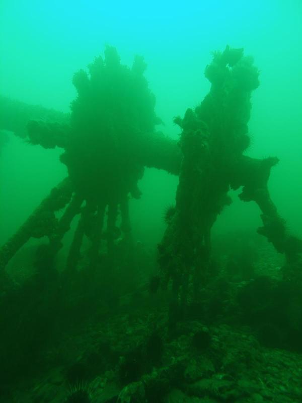 Del Norte and Chehalis