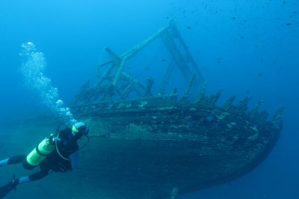 dive-225580_1920