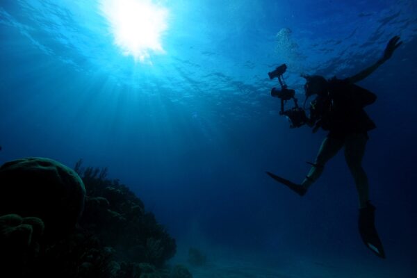 sea-86425_1920