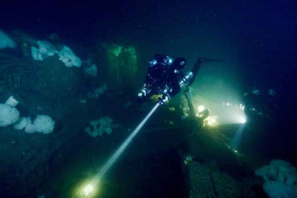 Dive-Gallery-Admiral-Knight-C-1000x750